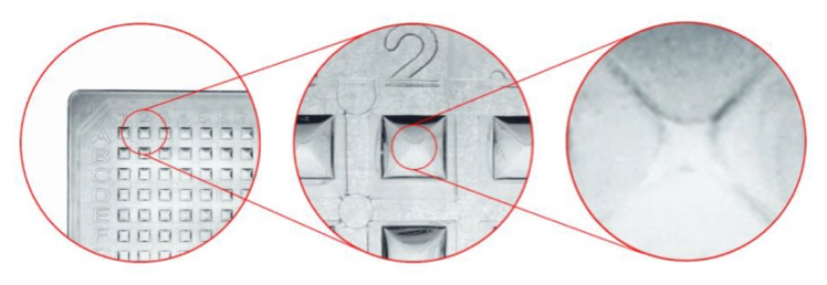 NaviPlate structural demonstration